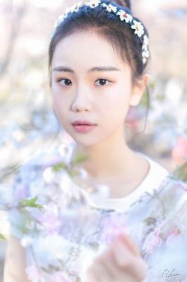 树影迷宫电视剧免费高清观看全集